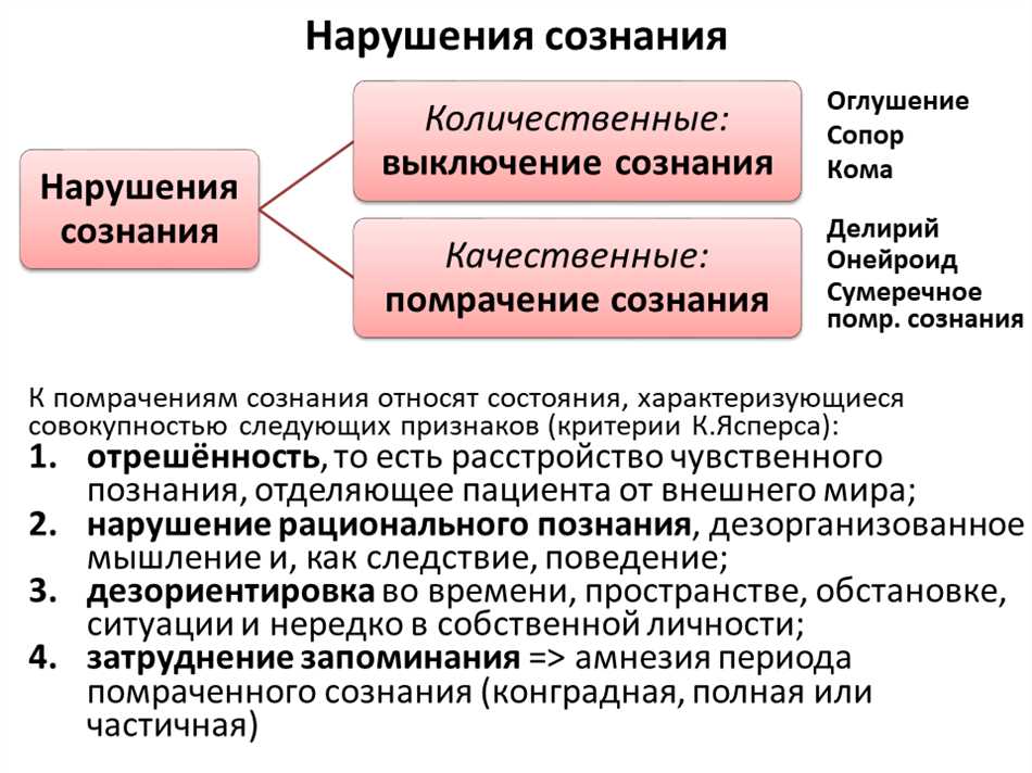 2. Морфологическая функция