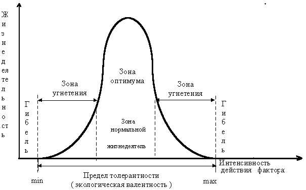 Раздел 1: Ограничивающие факторы в экологии