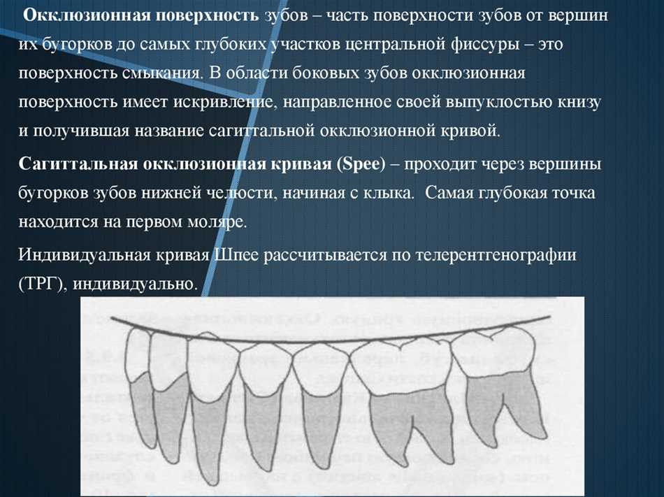 Как определить окклюзионную плоскость?