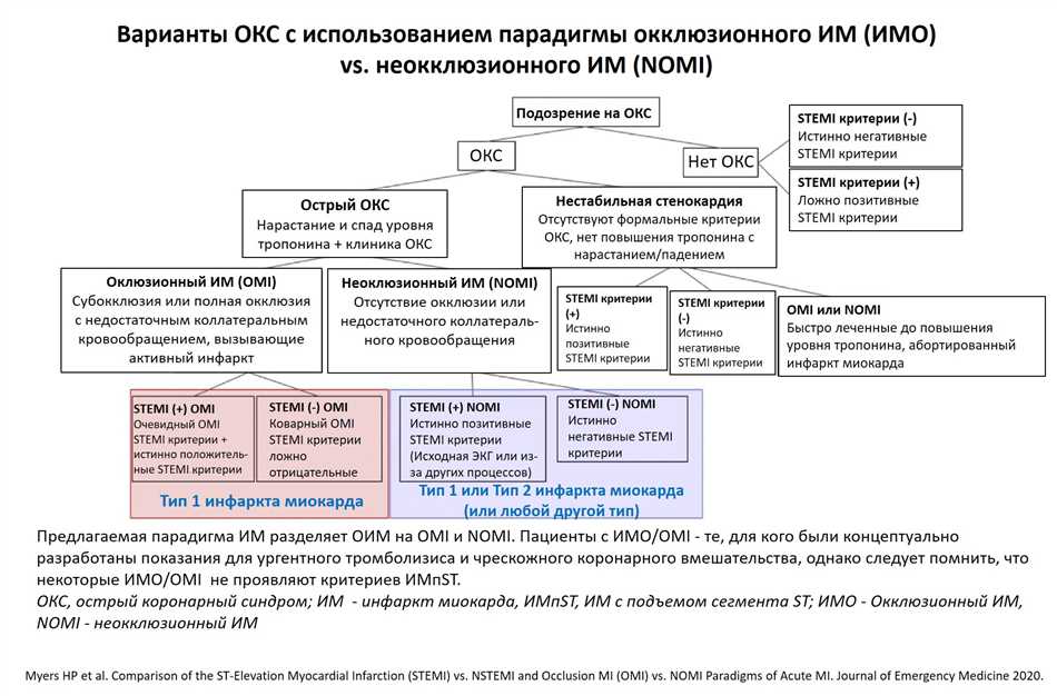 Принципы формирования окклюзии ПКА