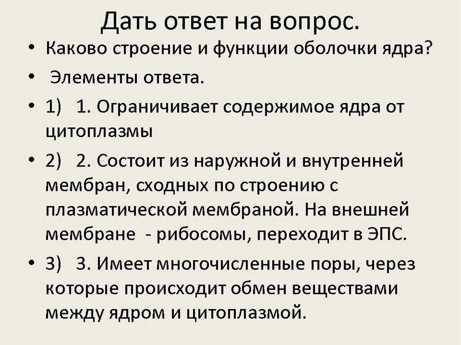 Окта ядро: принципы работы, функции и особенности