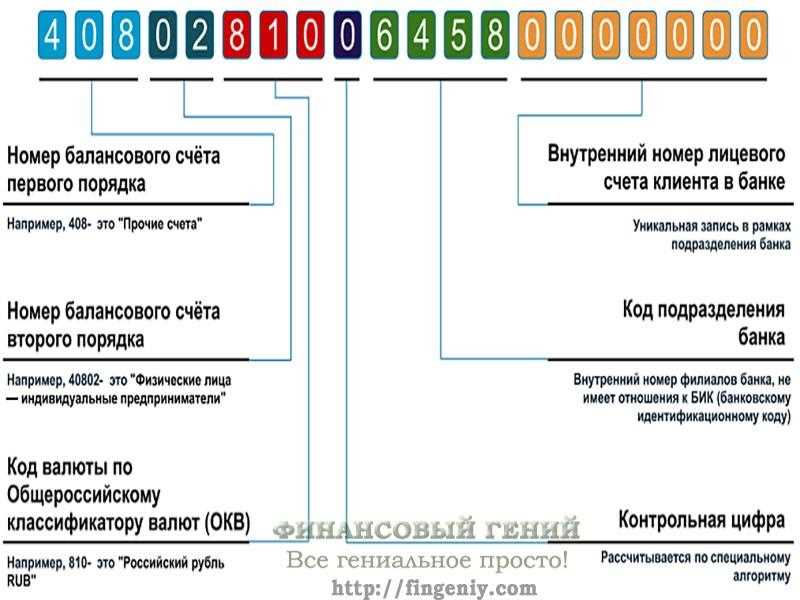 5. Декларации и формы отчетности