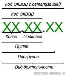 Определение ОКВЭД