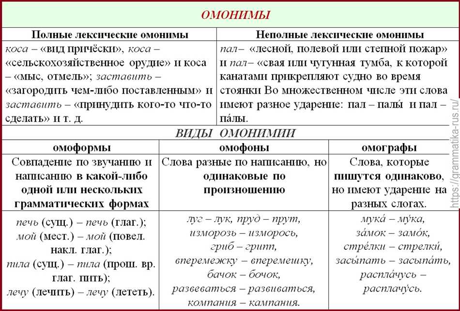 Омофоны в русском языке: определение и примеры