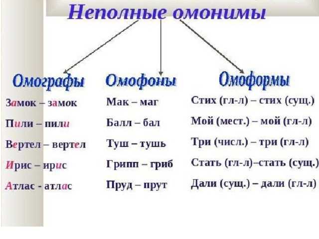 Омоформы в русском языке: определение и примеры