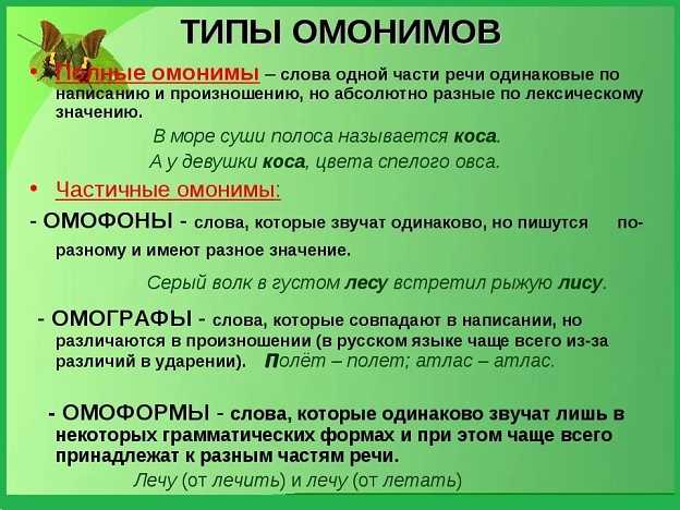 Омонимы, омофоны, омографы, омоформы: различия и примеры