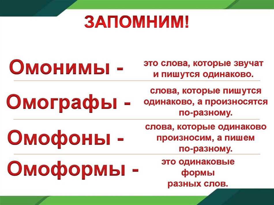 Омонимы, омоформы, омофоны, омографы: разбираемся в понятиях