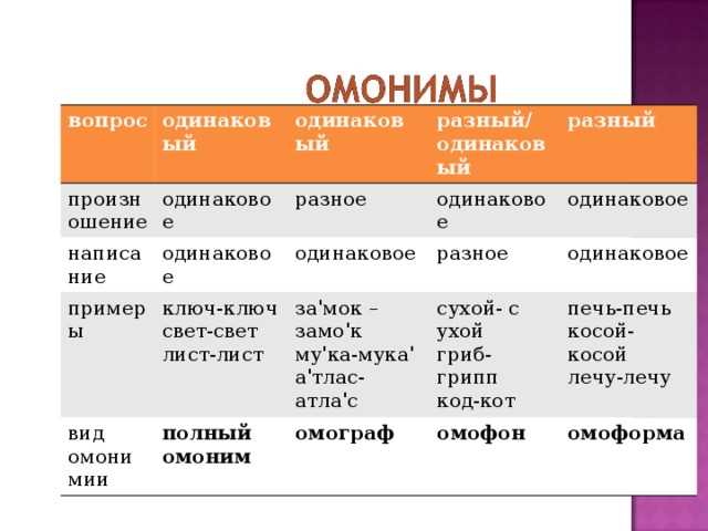 Омонимы, омоформы, омофоны, омографы: разбираемся в понятиях