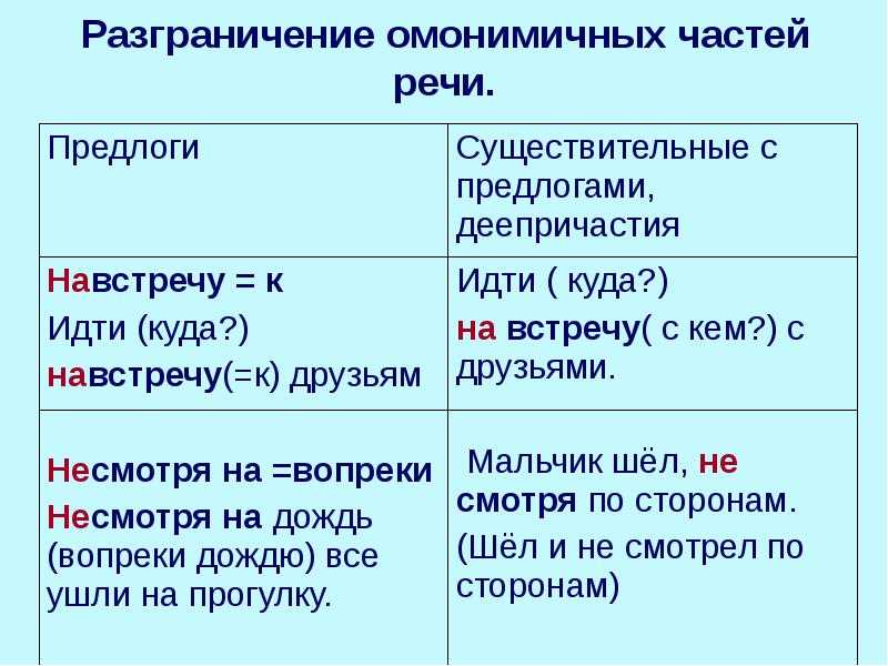 Омонимичные части речи в русском языке: концепция и примеры