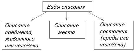 Описание, повествование, рассуждение в русском языке: понятия и особенности