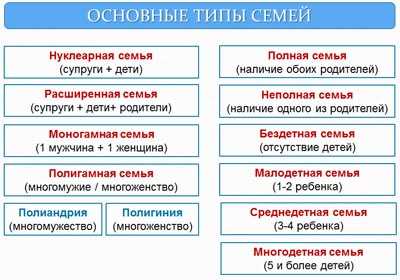 Социальные функции семьи