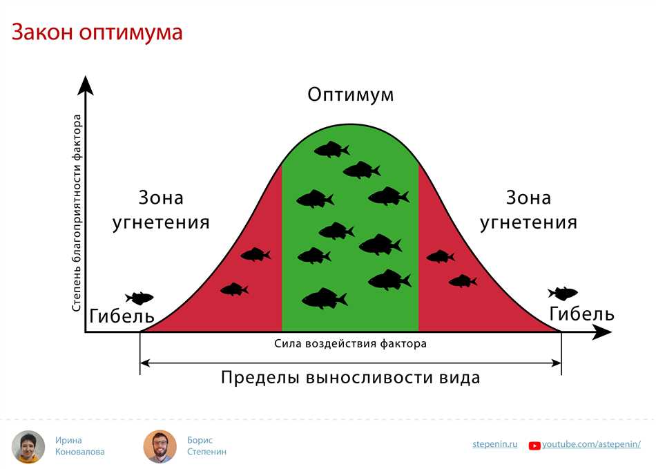 3. Освещение