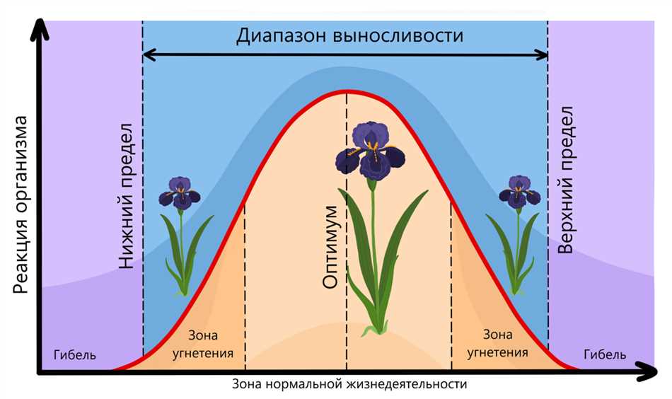 Определение оптимума в биологии