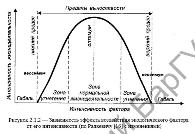 Оптимум в биологии: понятие и значение