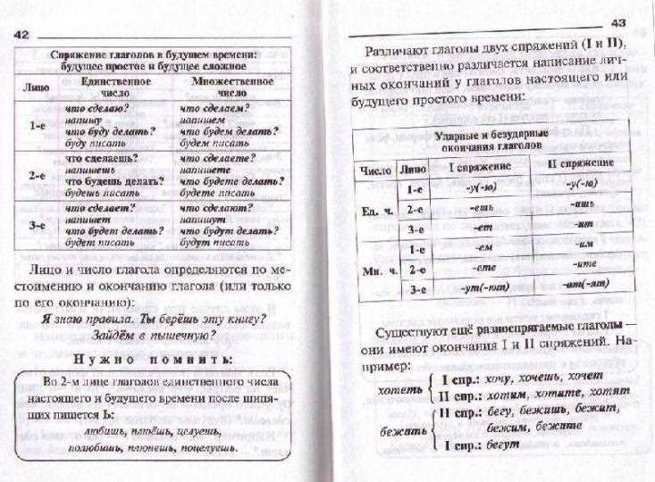 Орфограмма в 6 классе русского языка: примеры и объяснение