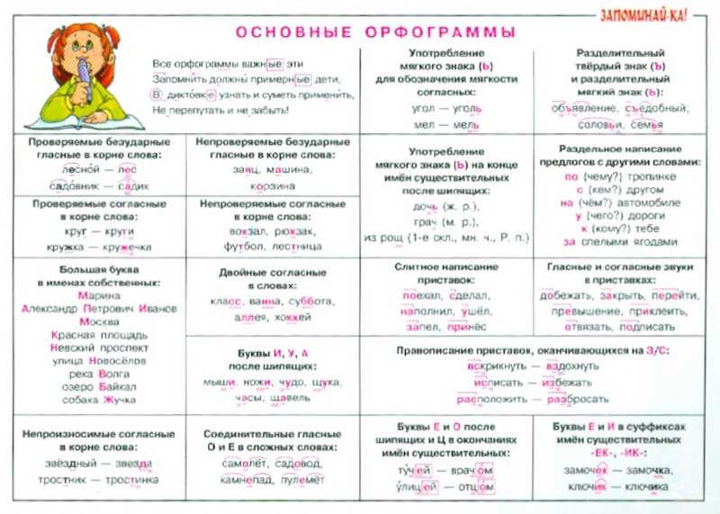 Орфограммы в 2 классе русского языка: правила и упражнения