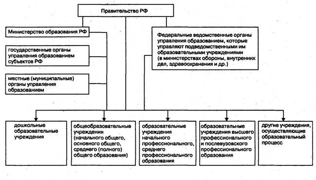 Органы управления: что это такое и какое их значение?