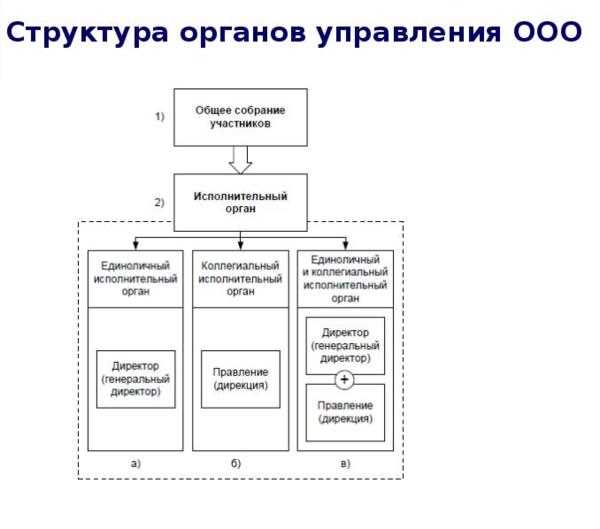 Органы управления: что это такое и какое их значение?