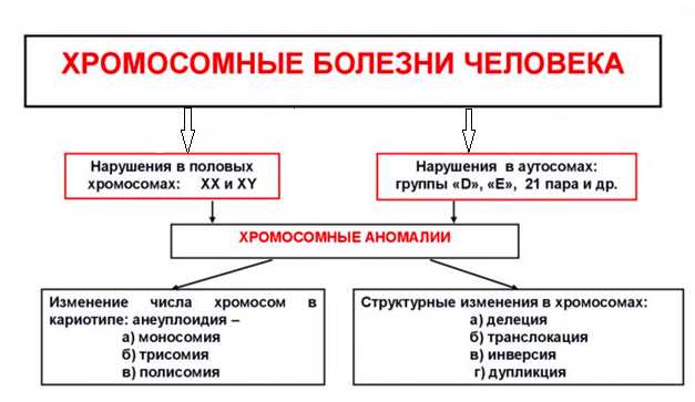 Органическая патология: определение, причины и особенности