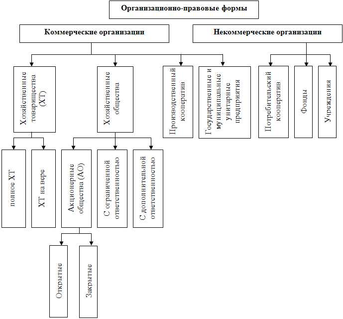 Организационно-правовая форма организации: определение и особенности