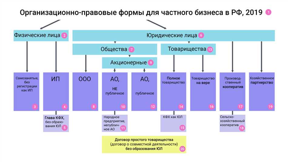 Организационно правовая форма организации: определение и особенности