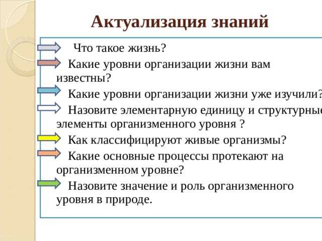 Патологии и заболевания органов