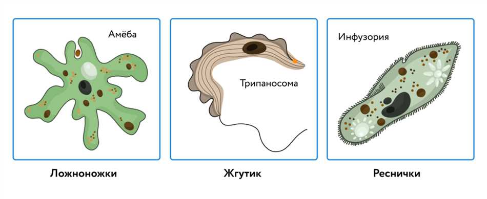 Заключение