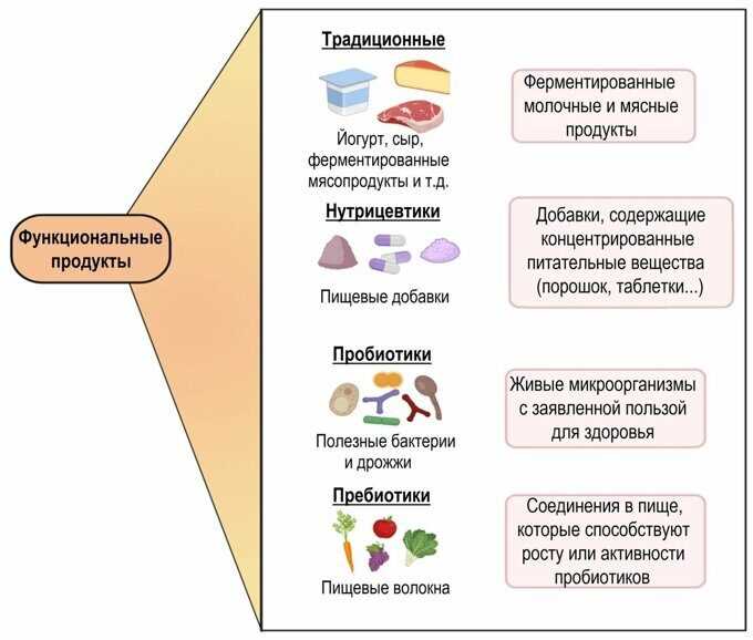 Роль органолептики в оценке продукта