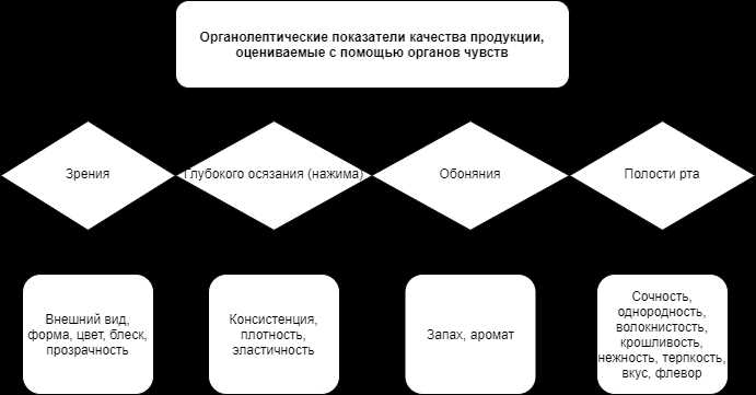 Органолептика продукта: что это такое и как она влияет на его качество