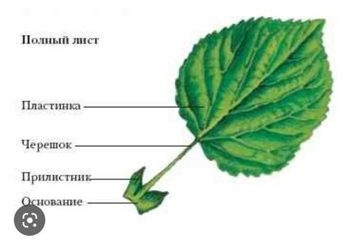 3. Приспособленное основание