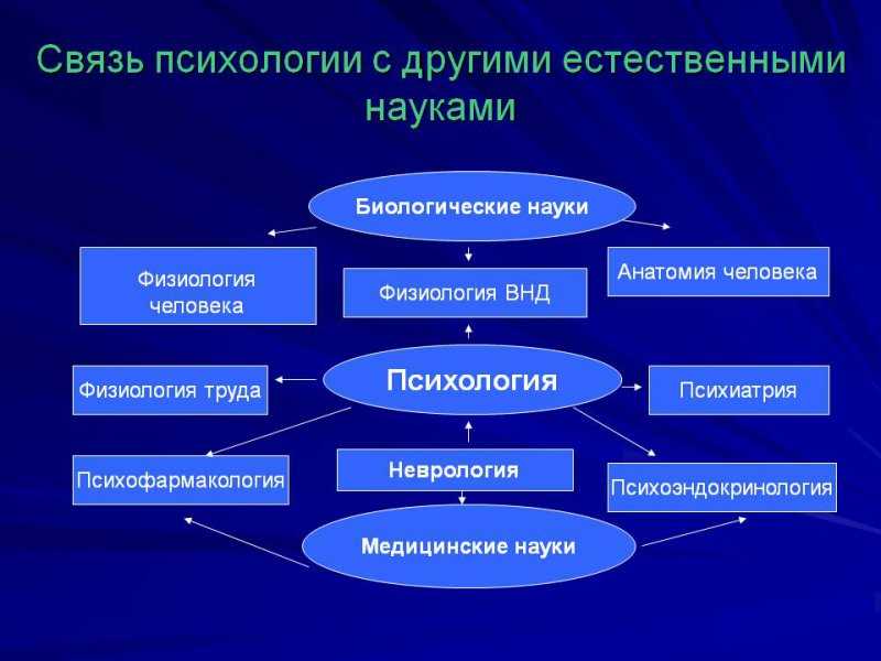 Биологические основы поведения