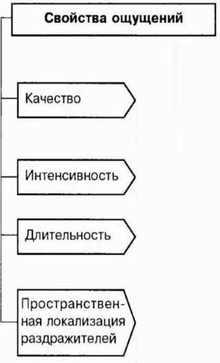 5. Наследственность