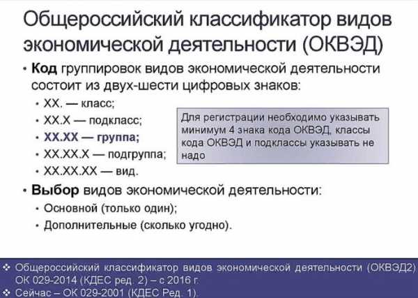 Роль основного вида экономической деятельности для развития экономики