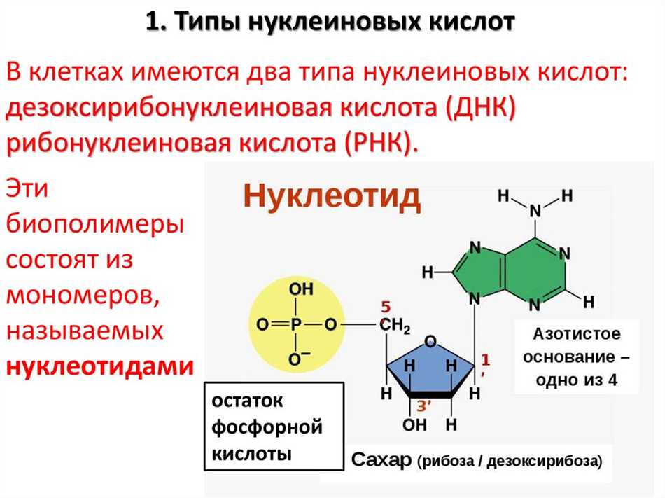 Структура и состав фосфорной кислоты