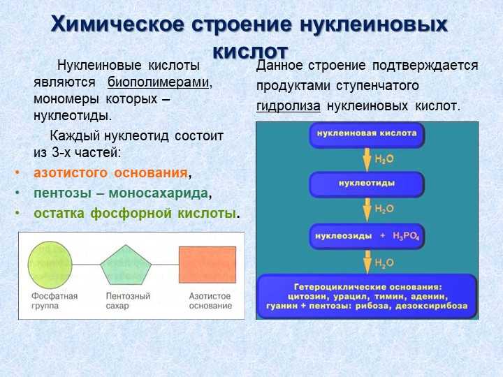 Остаток фосфорной кислоты: основные сведения и свойства