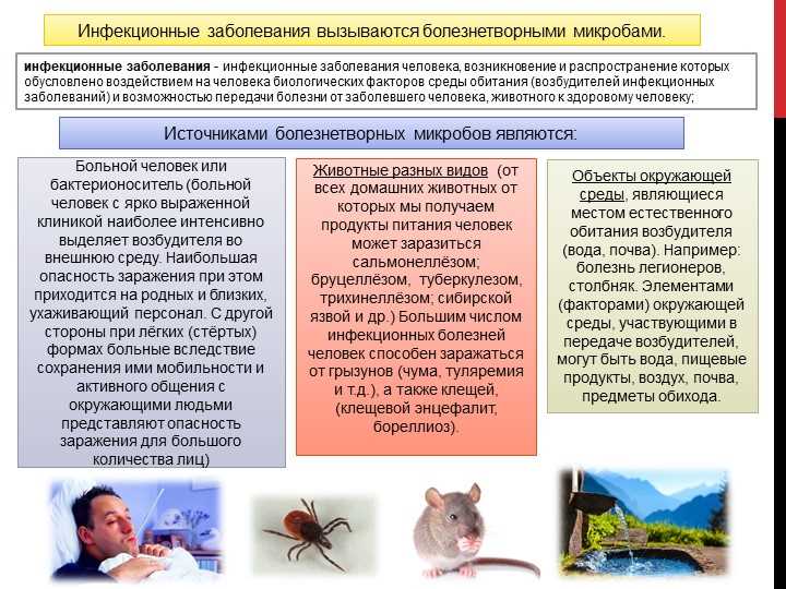 Понятие об острых инфекционных заболеваниях