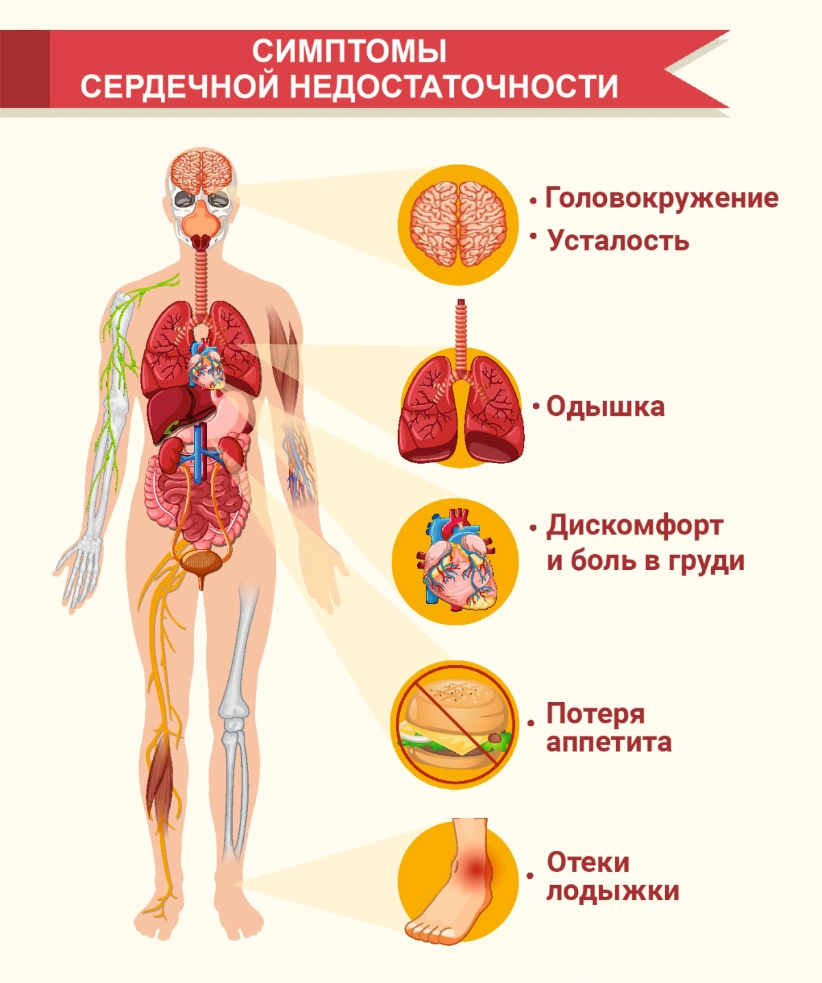 Лихорадка и повышенная температура тела