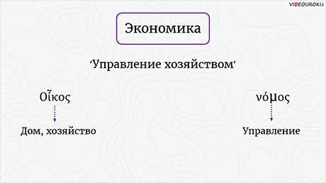 Отраслевая структура хозяйства в географии 9 класс: понятие и особенности