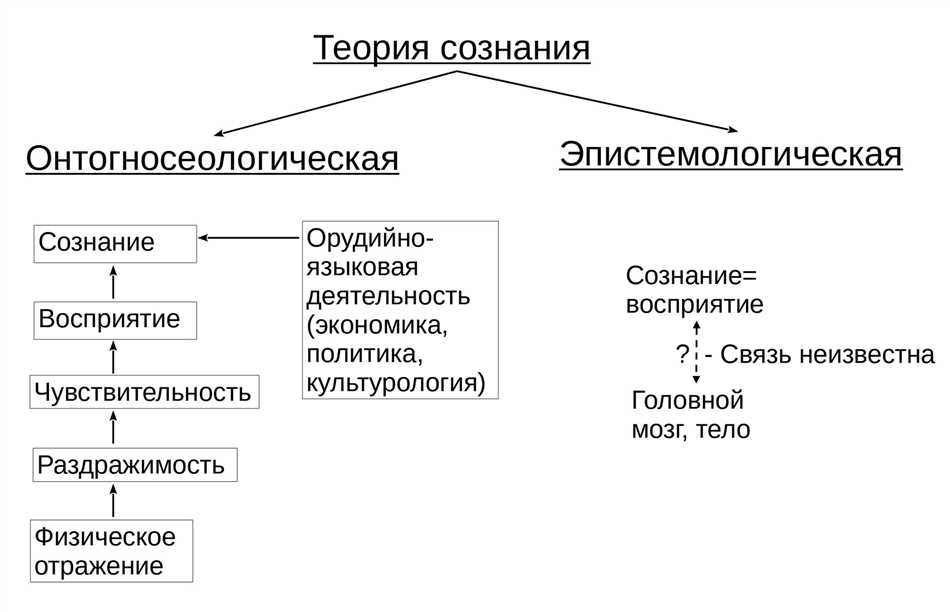 Отражение в философии: понятие и значение