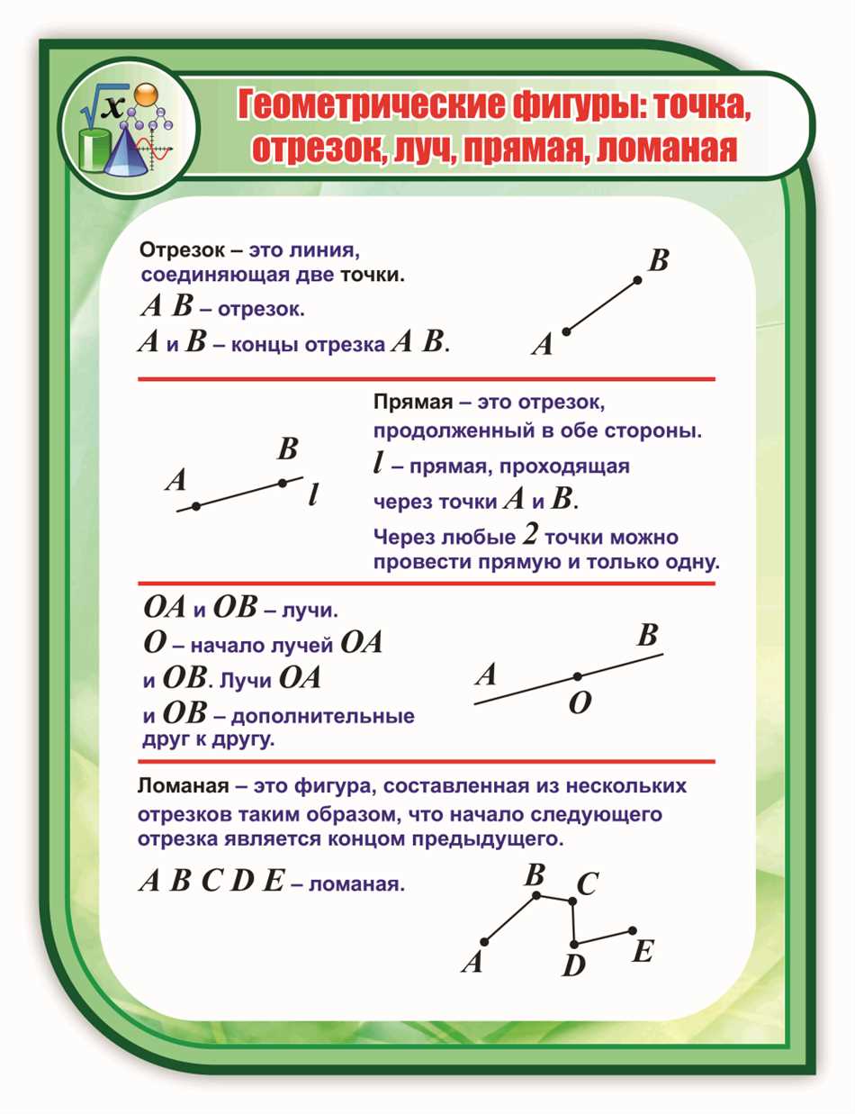 Отрезок, ломаная и луч: понятие и различия