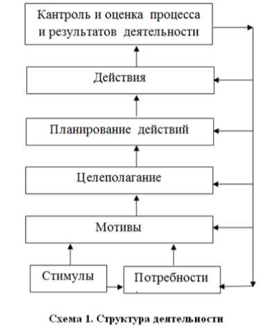 Оценочная деятельность: определение, цели и методы