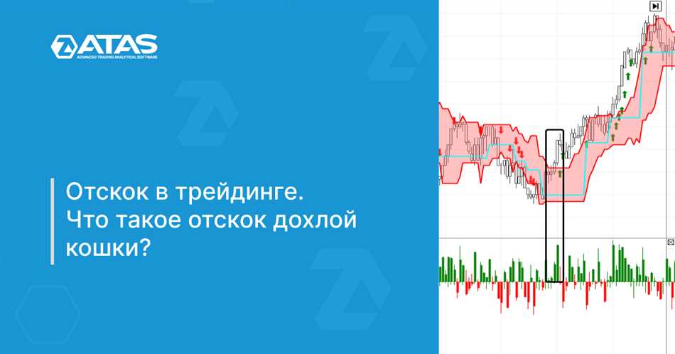 Способы предотвращения отскока дохлой кошки