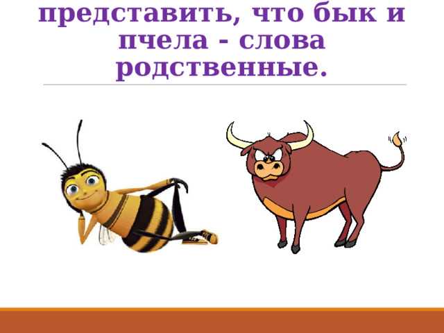 Роль быка и пчелы в культуре различных народов