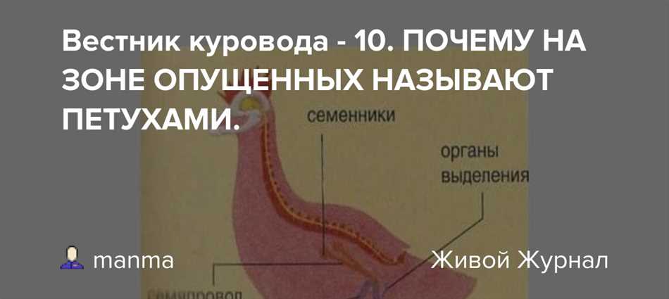 2. Неумение добиваться своей цели