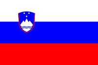 Почему флаги россии словении и словакии похожи