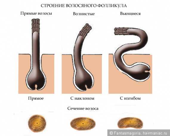  Вопрос к тебе: 