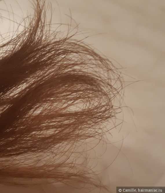 Почему на волосах появляются узелки