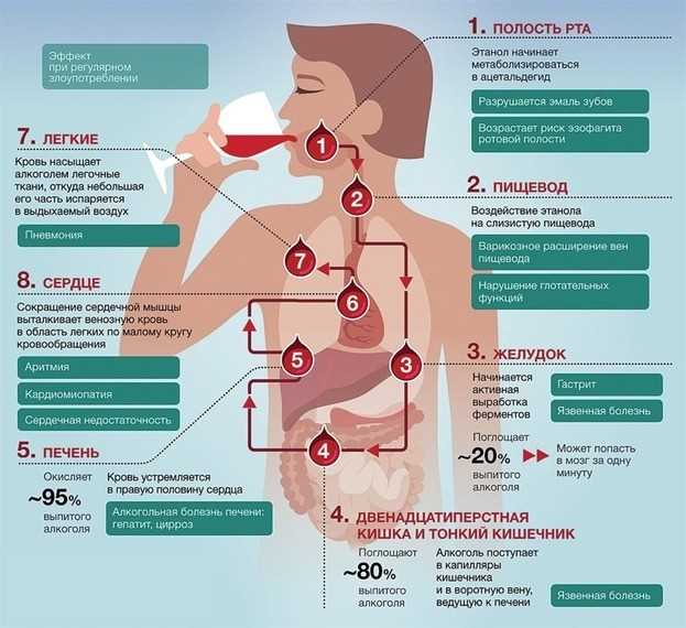 Ухудшение поглощения алкоголя организмом