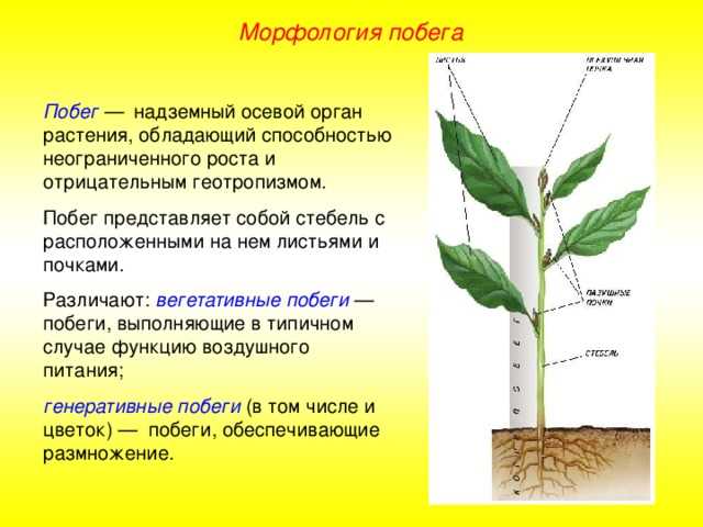 Влияние медиа и культурного контекста: