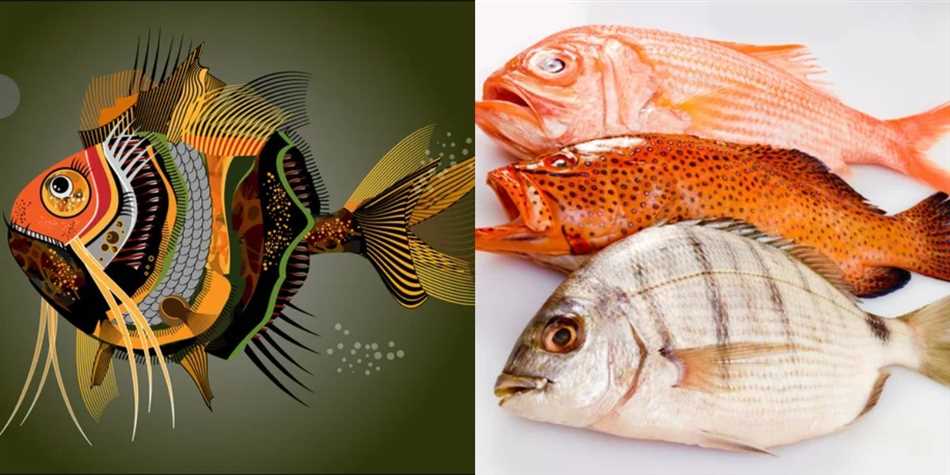 Типичная среда обитания морской рыбы